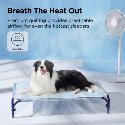 The Number 1 Dog Cooling Bed